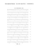 GLYCOSIDASE ENZYMES diagram and image