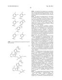 KINASE INHIBITORS diagram and image