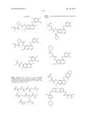 KINASE INHIBITORS diagram and image