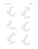 KINASE INHIBITORS diagram and image