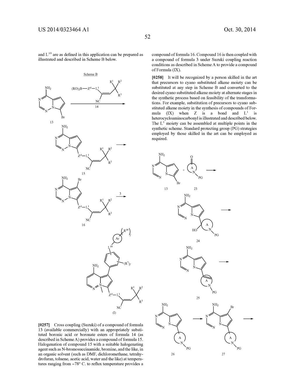 KINASE INHIBITORS - diagram, schematic, and image 53