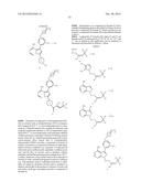 KINASE INHIBITORS diagram and image