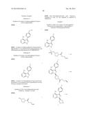 KINASE INHIBITORS diagram and image