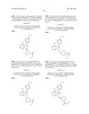 KINASE INHIBITORS diagram and image