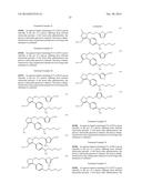 SUBSTITUTED ARYLCYCLOPENTENES AS THERAPEUTIC AGENTS diagram and image