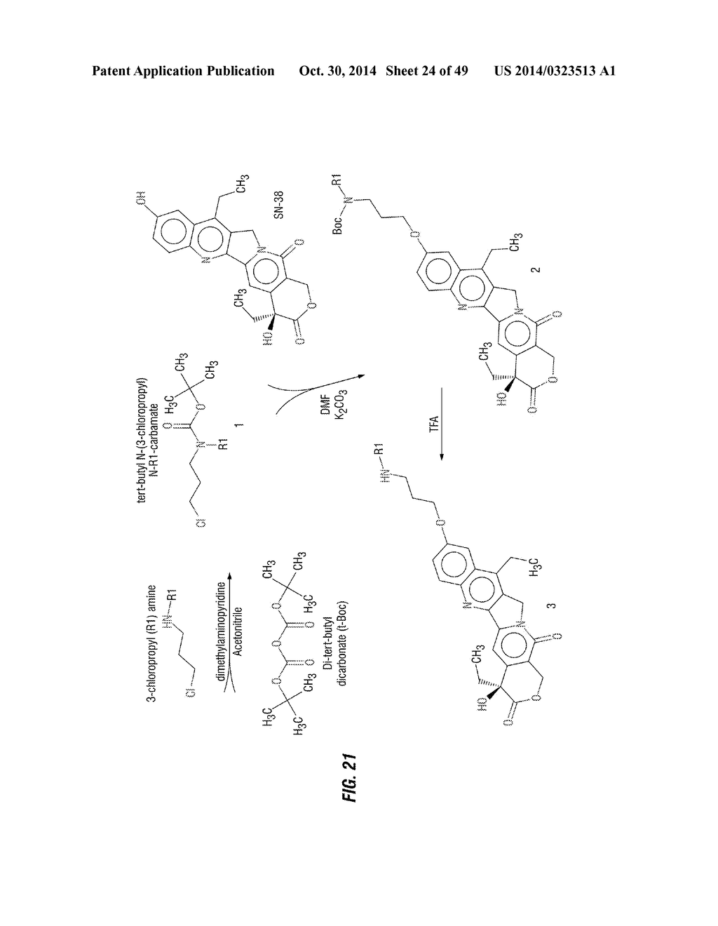 Chemotherapeutic Compositions and Methods for Treating Human Gliomas - diagram, schematic, and image 25