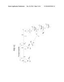 EXON SKIPPING COMPOSITIONS FOR TREATING MUSCULAR DYSTROPHY diagram and image