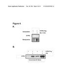 NITRATED SPHINGOSINE 1-PHOSPHATE 3 RECEPTOR AS A PREDICTOR OF ACUTE LUNG     INJURY-ASSOCIATED MORTALITY diagram and image