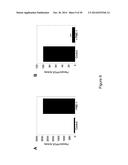 PME-1 AS A BIOMARKER TO PREDICT AND DIAGNOSE AN INCREASED RISK OF     ENDOMETRIAL CANCER AND GENE SILENCING OF PME-1 TO INHIBIT EPITHELIAL TO     MESENCHYMAL TRANSITION diagram and image