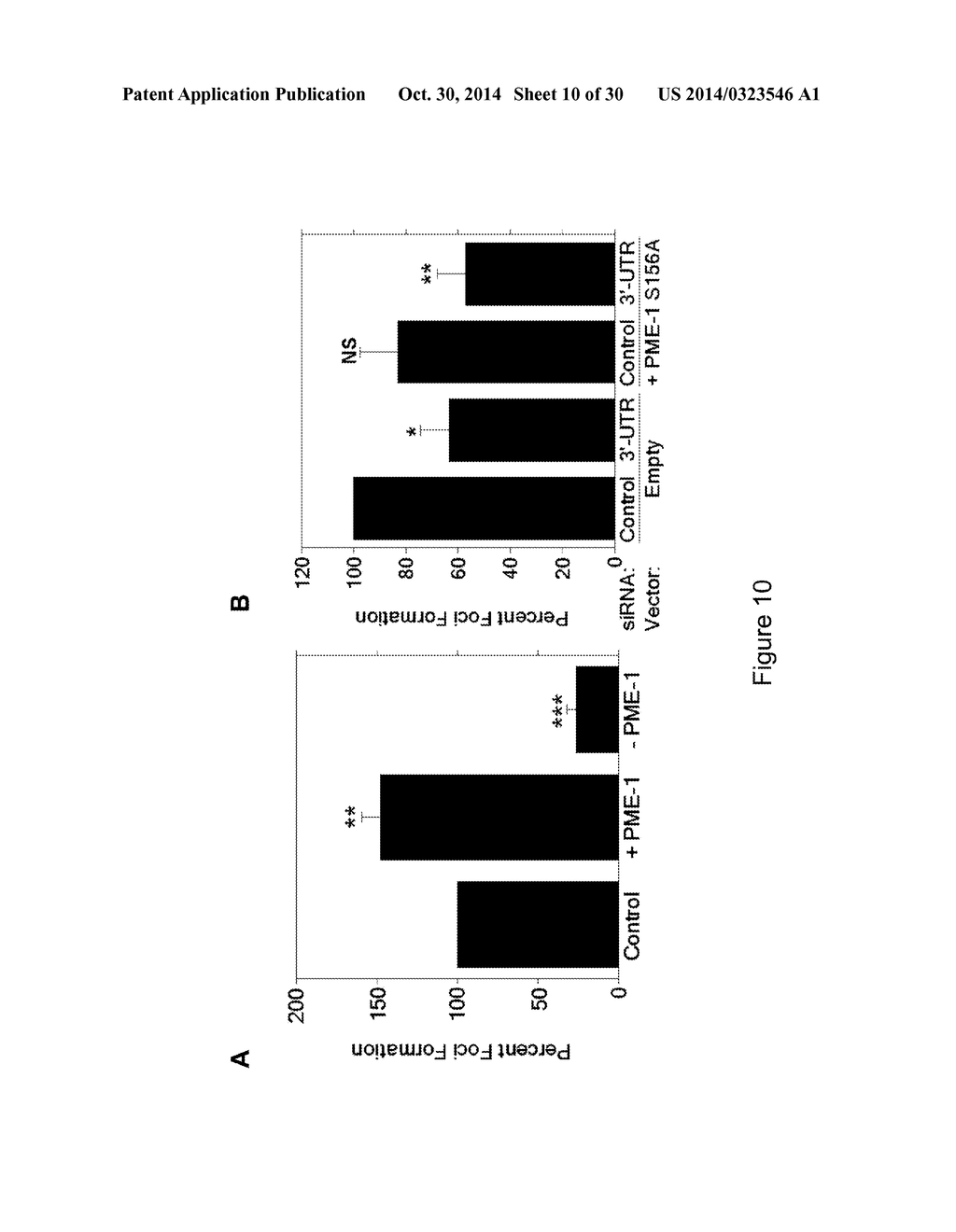 PME-1 AS A BIOMARKER TO PREDICT AND DIAGNOSE AN INCREASED RISK OF     ENDOMETRIAL CANCER AND GENE SILENCING OF PME-1 TO INHIBIT EPITHELIAL TO     MESENCHYMAL TRANSITION - diagram, schematic, and image 11