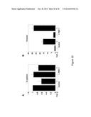 PME-1 AS A BIOMARKER TO PREDICT AND DIAGNOSE AN INCREASED RISK OF     ENDOMETRIAL CANCER AND GENE SILENCING OF PME-1 TO INHIBIT EPITHELIAL TO     MESENCHYMAL TRANSITION diagram and image