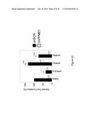 PME-1 AS A BIOMARKER TO PREDICT AND DIAGNOSE AN INCREASED RISK OF     ENDOMETRIAL CANCER AND GENE SILENCING OF PME-1 TO INHIBIT EPITHELIAL TO     MESENCHYMAL TRANSITION diagram and image