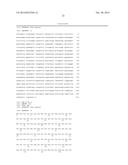 PME-1 AS A BIOMARKER TO PREDICT AND DIAGNOSE AN INCREASED RISK OF     ENDOMETRIAL CANCER AND GENE SILENCING OF PME-1 TO INHIBIT EPITHELIAL TO     MESENCHYMAL TRANSITION diagram and image