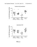 NUCLEOTIDE AND OLIGONUCLEOTIDE PRODRUGS diagram and image