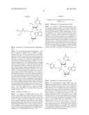 NUCLEOTIDE AND OLIGONUCLEOTIDE PRODRUGS diagram and image