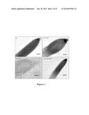 USE OF STRIGOLACTONES AND STRIGOLACTONE ANALOGS FOR TREATING PROLIFERATIVE     CONDITIONS diagram and image