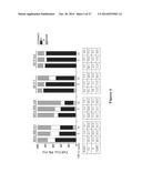 USE OF STRIGOLACTONES AND STRIGOLACTONE ANALOGS FOR TREATING PROLIFERATIVE     CONDITIONS diagram and image