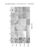 USE OF STRIGOLACTONES AND STRIGOLACTONE ANALOGS FOR TREATING PROLIFERATIVE     CONDITIONS diagram and image