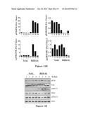 USE OF STRIGOLACTONES AND STRIGOLACTONE ANALOGS FOR TREATING PROLIFERATIVE     CONDITIONS diagram and image