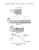 USE OF STRIGOLACTONES AND STRIGOLACTONE ANALOGS FOR TREATING PROLIFERATIVE     CONDITIONS diagram and image