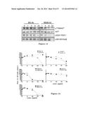 USE OF STRIGOLACTONES AND STRIGOLACTONE ANALOGS FOR TREATING PROLIFERATIVE     CONDITIONS diagram and image