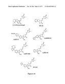 USE OF STRIGOLACTONES AND STRIGOLACTONE ANALOGS FOR TREATING PROLIFERATIVE     CONDITIONS diagram and image