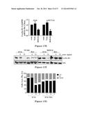 USE OF STRIGOLACTONES AND STRIGOLACTONE ANALOGS FOR TREATING PROLIFERATIVE     CONDITIONS diagram and image