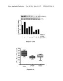 USE OF STRIGOLACTONES AND STRIGOLACTONE ANALOGS FOR TREATING PROLIFERATIVE     CONDITIONS diagram and image