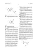 USE OF STRIGOLACTONES AND STRIGOLACTONE ANALOGS FOR TREATING PROLIFERATIVE     CONDITIONS diagram and image