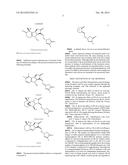 USE OF STRIGOLACTONES AND STRIGOLACTONE ANALOGS FOR TREATING PROLIFERATIVE     CONDITIONS diagram and image