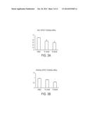 OLIGO-BENZAMIDE COMPOUNDS AND THEIR USE IN TREATING CANCERS diagram and image