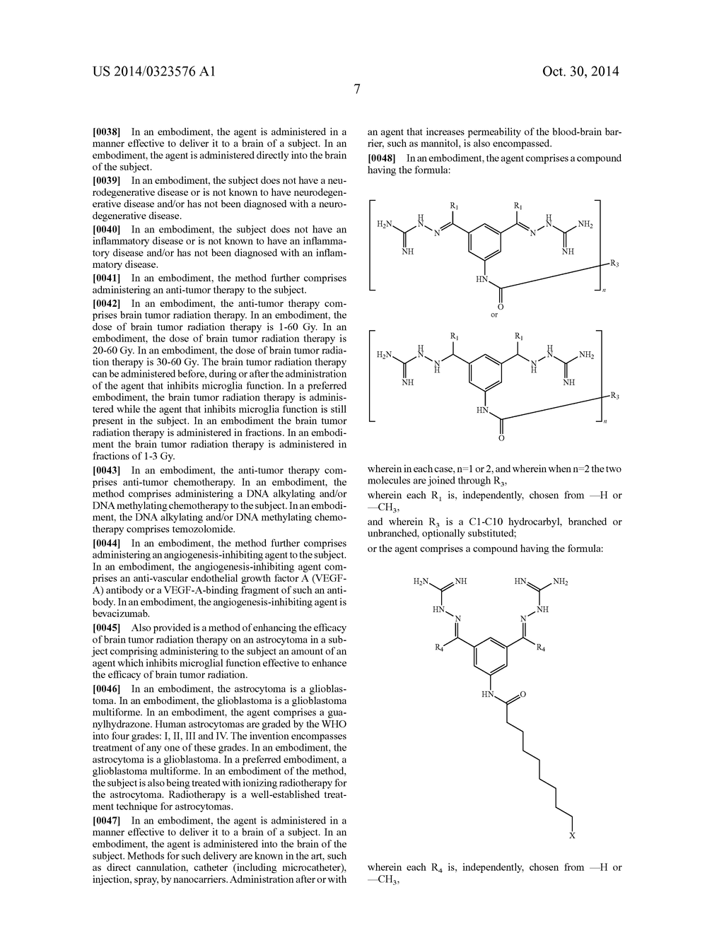 METHOD FOR TREATING GLIOBLASTOMAS AND OTHER TUMORS - diagram, schematic, and image 20