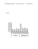 GM1 GANGLIOSIDE TO ANNEXIN V MICROPARTICLE POLYPEPTIDE RATIO FOR     BIOLOGICAL MONITORING diagram and image