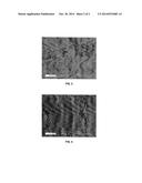 PROCESS FOR THE PREPARATION OF DEFINED FUNCTIONAL LACTIC ACID OLIGOMERS diagram and image