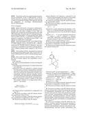 PROCESS FOR THE PREPARATION OF DEFINED FUNCTIONAL LACTIC ACID OLIGOMERS diagram and image