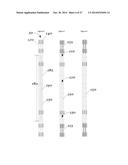 MULTIPHASE POROUS FLOW REACTORS AND METHODS OF USING SAME diagram and image