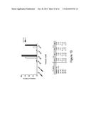 BIOLOGICALLY ACTIVE PEPTIDOMIMETIC MACROCYCLES diagram and image