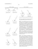 BIOLOGICALLY ACTIVE PEPTIDOMIMETIC MACROCYCLES diagram and image