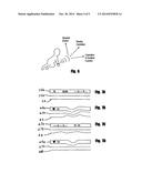 Wireless Physiological Monitoring Device diagram and image