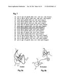 ACQUIRING CONTACT POSITION PARAMETERS AND DETECTING CONTACT OF A JOINT diagram and image