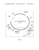 ENGINEERING RUBBER PRODUCTION IN PLANTS diagram and image