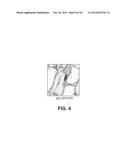 CONSTITUTIVELY ACTIVE PYR/PYL RECEPTOR PROTEINS FOR IMPROVING PLANT STRESS     TOLERANCE diagram and image