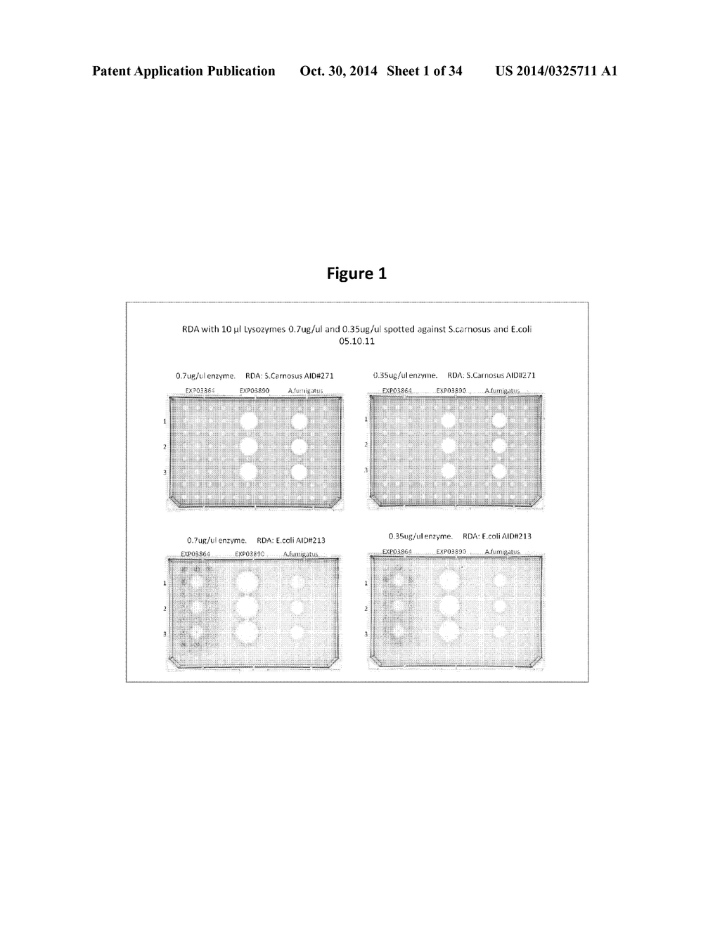 Polypeptides Having Lysozyme Activity and Polynucleotides Encoding Same - diagram, schematic, and image 02