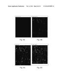 CERTAIN DIMERS AS CRYSTALLIZATION DEPRESSANTS diagram and image