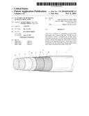 FLAT WIRE AND METHOD OF MANUFACTURING SAME diagram and image