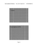 ROBUST MONOLITHIC MICROMECHANICAL VALVES FOR HIGH DENSITY MICROFLUIDIC     VERY LARGE SCALE INTEGRATION diagram and image