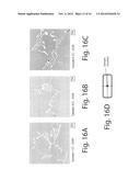 IN-SITU HOMOGENIZATION OF DC CAST METALS WITH ADDITIONAL QUENCH diagram and image