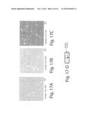 IN-SITU HOMOGENIZATION OF DC CAST METALS WITH ADDITIONAL QUENCH diagram and image