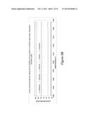 ANISOTROPIC HIGH RESISTANCE IONIC CURRENT SOURCE (AHRICS) diagram and image