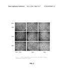 CONDUCTIVE TRANSPARENT FILM AND METHOD FOR MAKING SAME diagram and image